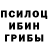 Галлюциногенные грибы Psilocybine cubensis Vince .L