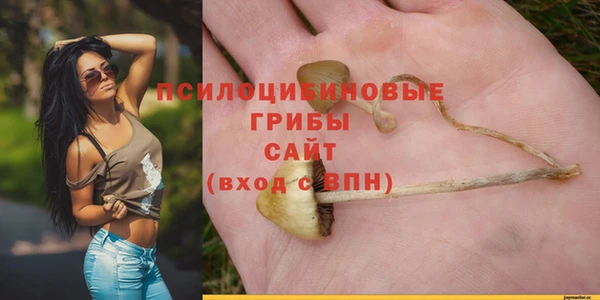 не бодяженный Горняк