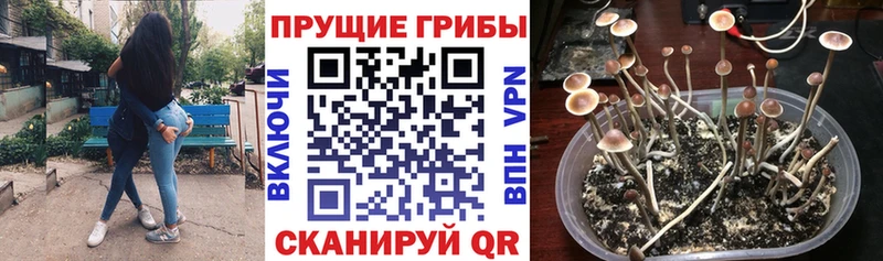 Псилоцибиновые грибы мухоморы  мориарти наркотические препараты  Яранск 